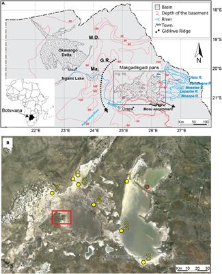 Late Pleistocene–Holocene Palaeoenvironmental Evolution of the Makgadikgadi Basin, Central Kalahari, Botswana: New Evidence From Shallow Sediments and Ostracod Fauna